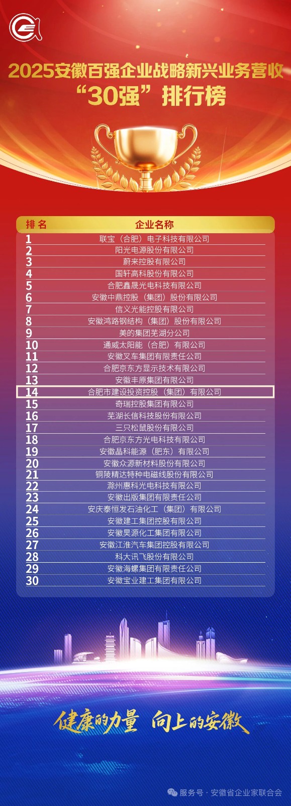 1763967134353 3.2025安徽百強(qiáng)企業(yè)戰(zhàn)略新興業(yè)務(wù)營收30強(qiáng)